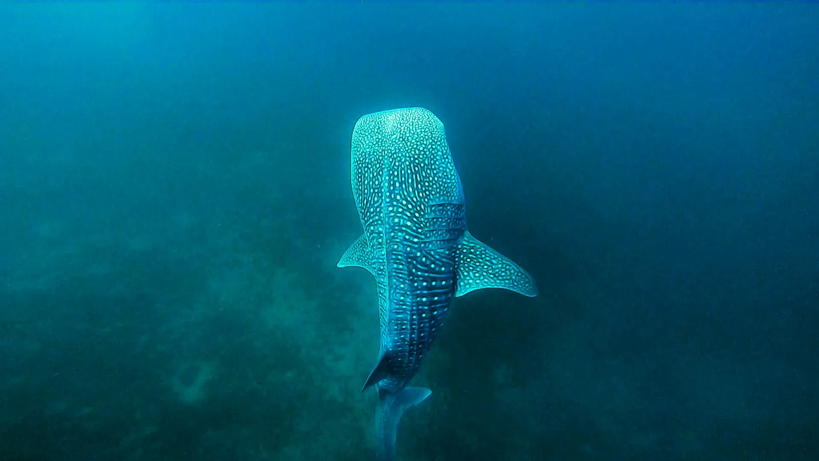 Parque Nacional Coiba